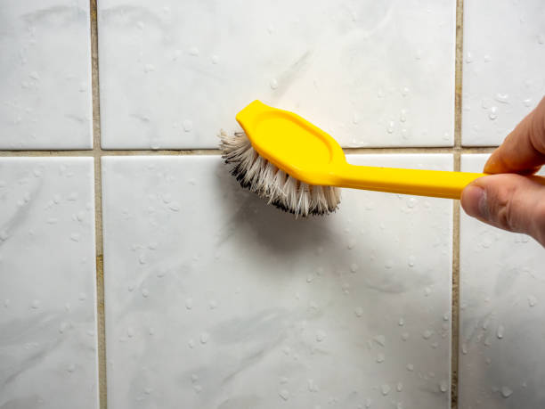 Best Mold Removal Specialists  in Lindsborg, KS