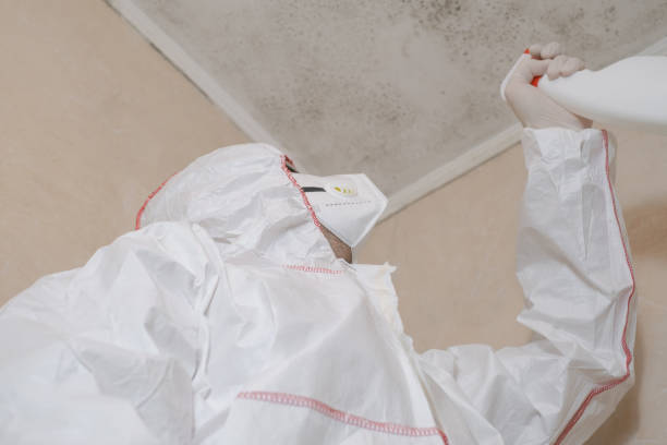 Best Toxic Mold Removal  in Lindsborg, KS