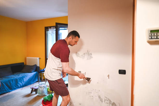 Best Same-Day Mold Removal  in Lindsborg, KS