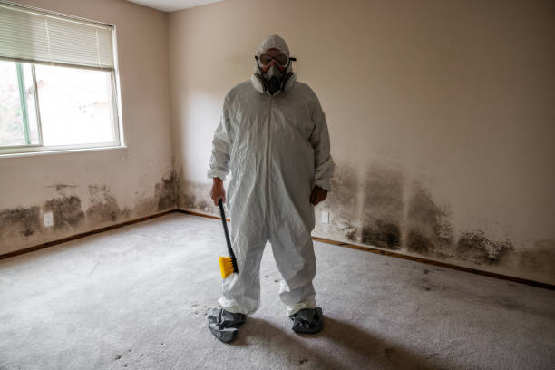 Best Certified Mold Removal  in Lindsborg, KS
